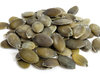Zucca semi (sacchetto) g.100